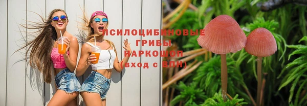 дмт Алексеевка