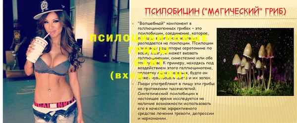 дмт Алексеевка
