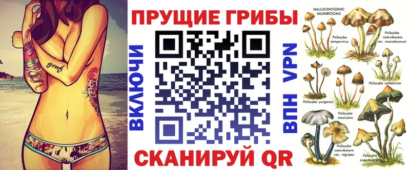 Галлюциногенные грибы Cubensis Кирово-Чепецк