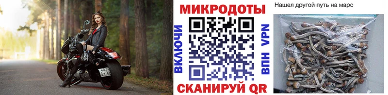 купить наркотик  Кирово-Чепецк  Псилоцибиновые грибы MAGIC MUSHROOMS 